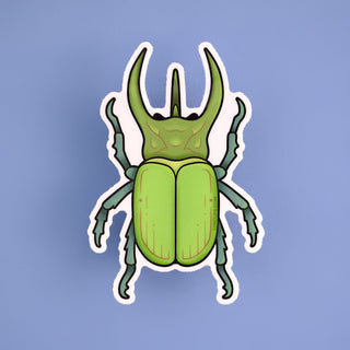 LuxCups Creative Sticker Beetle Sticker