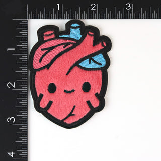 Anatomical Heart Fuzzy Patch