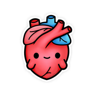 Anatomical Heart Sticker