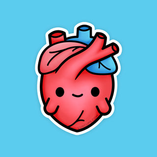 Anatomical Heart Sticker
