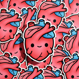 Anatomical Heart Sticker