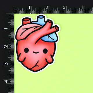 Anatomical Heart Sticker